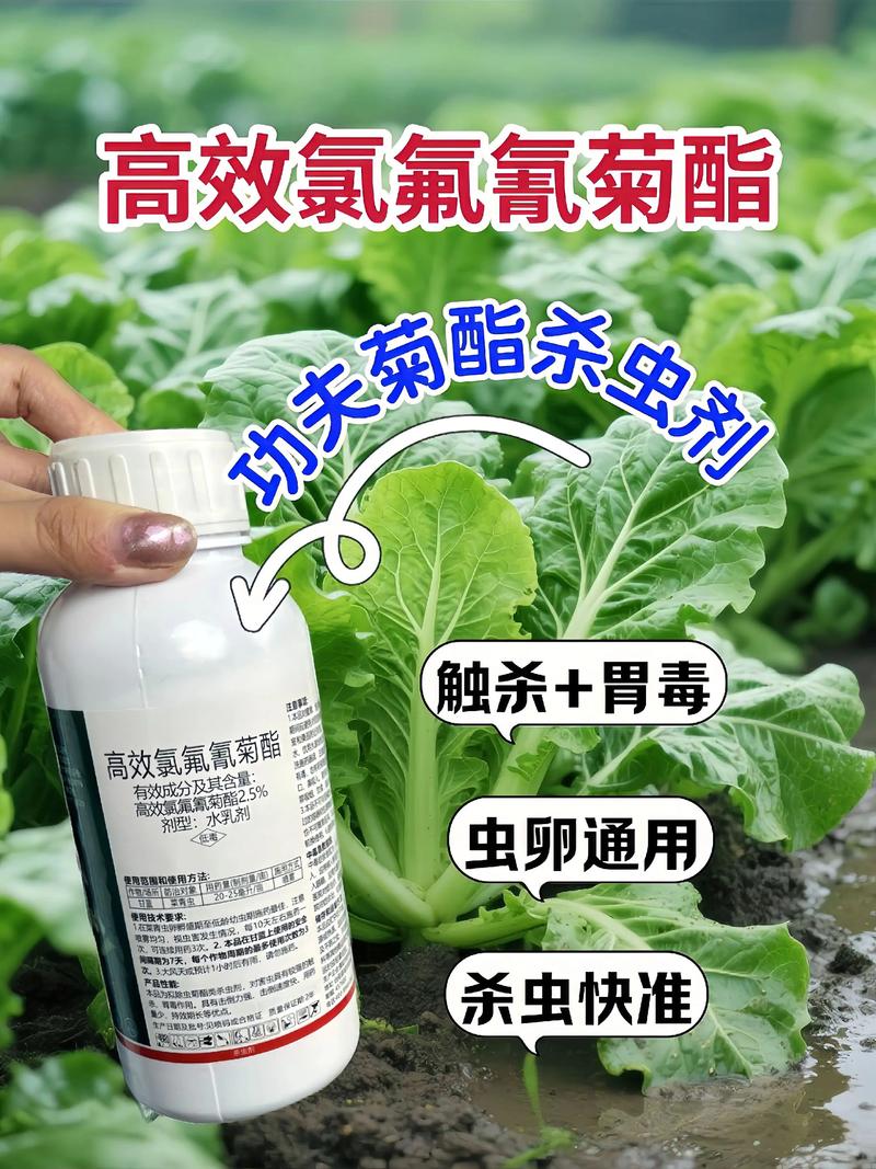 北碚代生中心:农药对供卵代生妈妈的危害